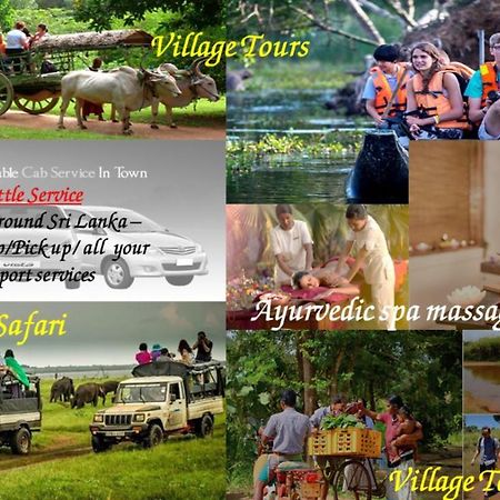 Nice To Meet Home Stay Habarana Εξωτερικό φωτογραφία
