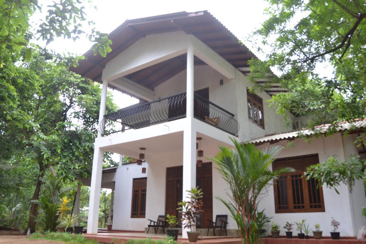 Nice To Meet Home Stay Habarana Εξωτερικό φωτογραφία